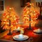 Battery Operated Lighted Tabletop Artificial Tree with Pumpkin Acorn Maple Fall(Style 3)